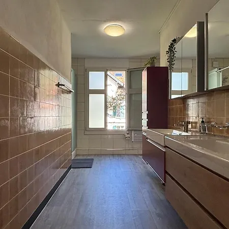 Apartment In A Villa In Erstfeld Exterior photo